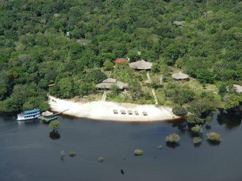 Amazon Ecopark Jungle Lodge, Amazon, Brazil