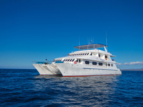 MC Tip Top II, The Galapagos, Ecuador