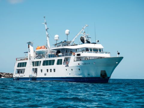 Isabela II, The Galapagos, Ecuador