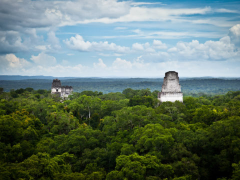 Central America Guatemala Mayan Tikal