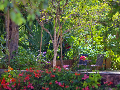 Hacienda Santa Rosa, Uxmal Yucatan, Mexico
