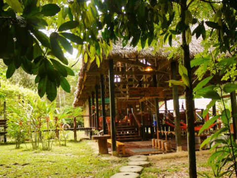 Posada Amazonas, Amazon, Peru