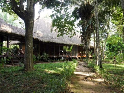 Sandoval, Amazon, Peru