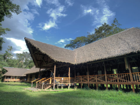 Tambopata Research Center, Amazon Basin, Peru