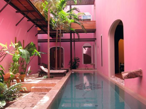 Rosas y Xocolate, Merida, Yucatan, Mexico