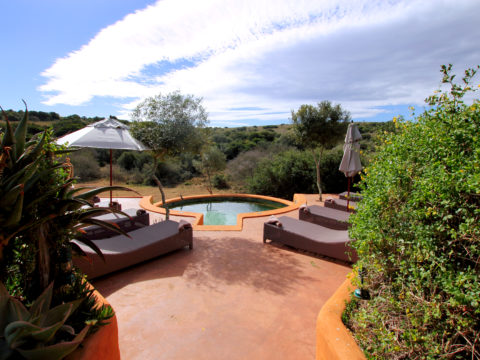 Safari Lodge, Amakhala, Eastern Cape, South Africa