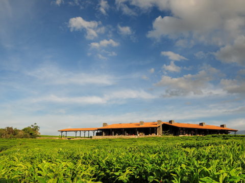Nyungwe Forest Lodge, Nyungwe Forest National Park, Rwanda
