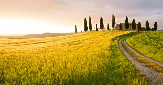 Tuscany view